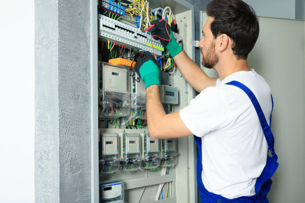 Best Electric Panel Repair  in Ilco, WA